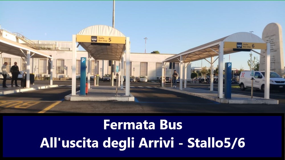Autobus Salerno Ciampino Aeroporto
