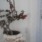 Evagelia's Place - hotel a Mykonos