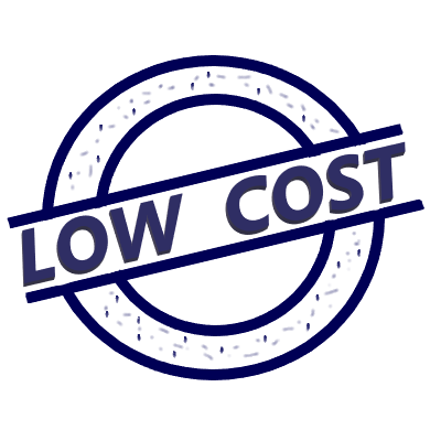 Low Cost Express Bus
