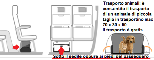 Trasporto Animali Bus Battipaglia Roma