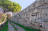 Scavi Paestum